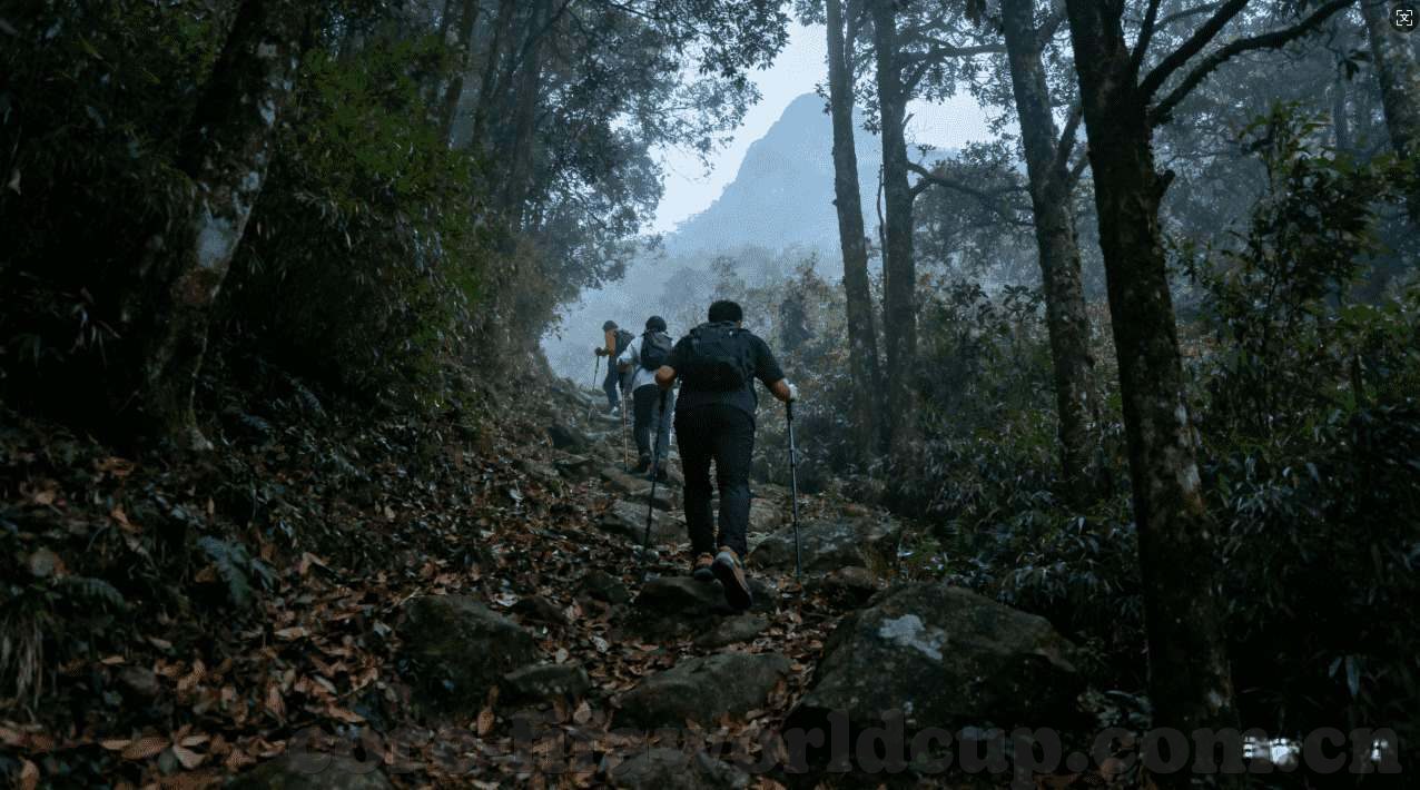 俄罗斯世界杯维尔纳-俄罗斯世界杯，维尔纳的闪耀与德国队的挑战